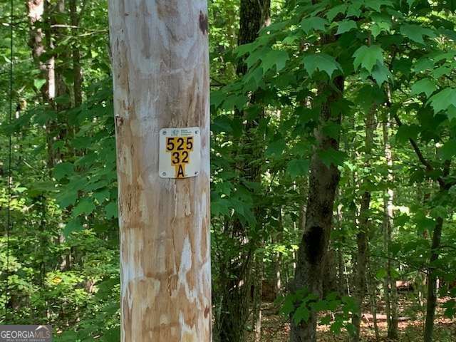 LOT 131 Laurel Crossing, Blue Ridge, GA 30513