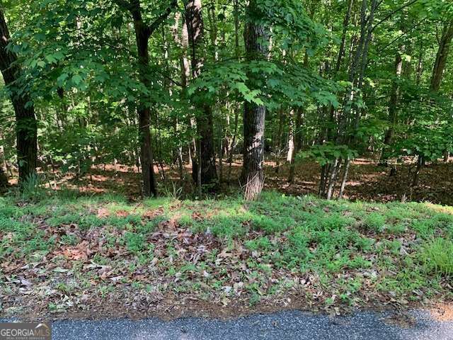 LOT 131 Laurel Crossing, Blue Ridge, GA 30513