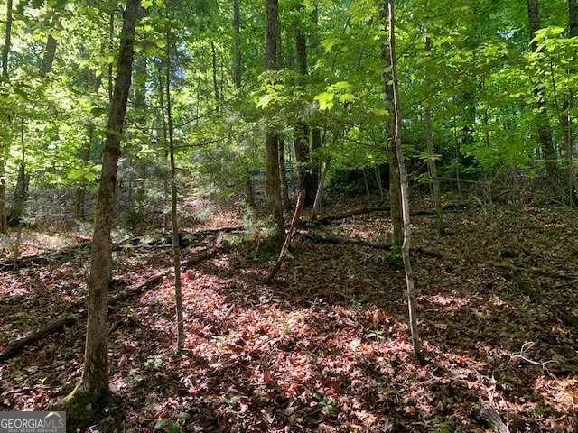 LOT 131 Laurel Crossing, Blue Ridge, GA 30513