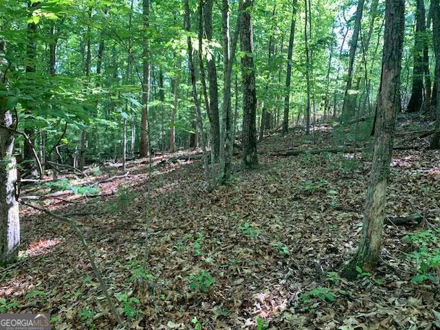 LOT 131 Laurel Crossing, Blue Ridge, GA 30513