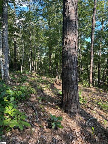 00 Wildlife Lake Road, Old Fort, NC 28762