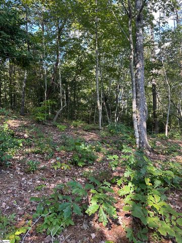 00 Wildlife Lake Road, Old Fort, NC 28762