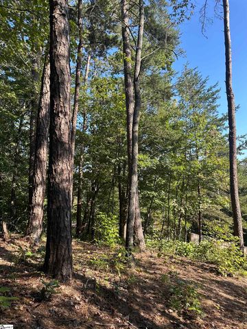 00 Wildlife Lake Road, Old Fort, NC 28762