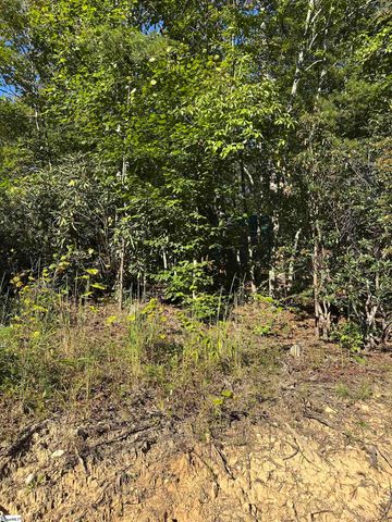 00 Wildlife Lake Road, Old Fort, NC 28762