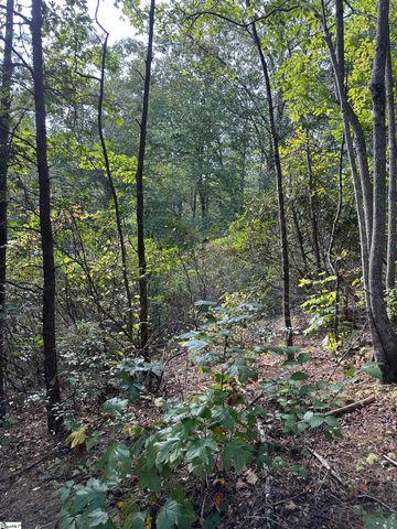 00 Wildlife Lake Road, Old Fort, NC 28762