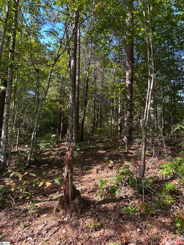 00 Wildlife Lake Road, Old Fort, NC 28762