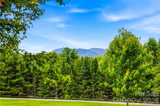 4862 Pinnacle Mountain Road, Zirconia, NC 28790