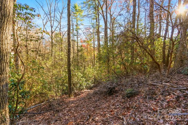 TBD Midway Road, Linville Falls, NC 28647
