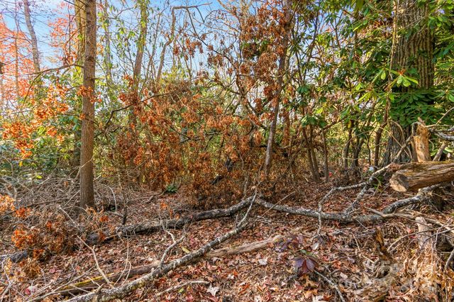 TBD Midway Road, Linville Falls, NC 28647