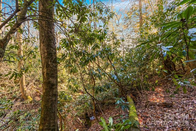 TBD Midway Road, Linville Falls, NC 28647