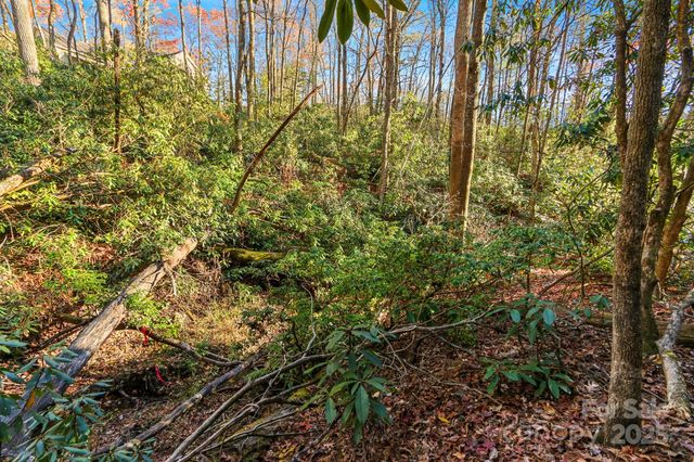 TBD Midway Road, Linville Falls, NC 28647
