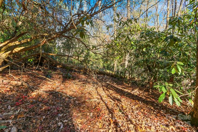 TBD Midway Road, Linville Falls, NC 28647