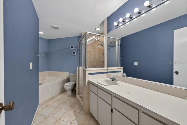 12007 MISTY BROOK COURT, Tampa, FL 33635