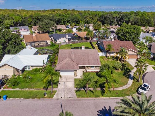12007 MISTY BROOK COURT, Tampa, FL 33635