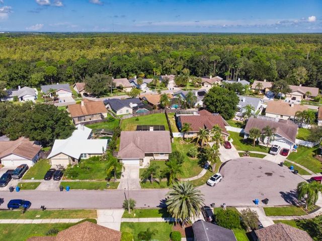 12007 MISTY BROOK COURT, Tampa, FL 33635