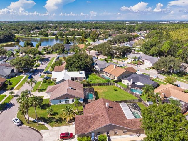 12007 MISTY BROOK COURT, Tampa, FL 33635