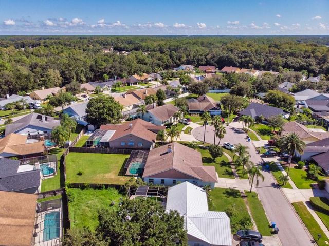 12007 MISTY BROOK COURT, Tampa, FL 33635