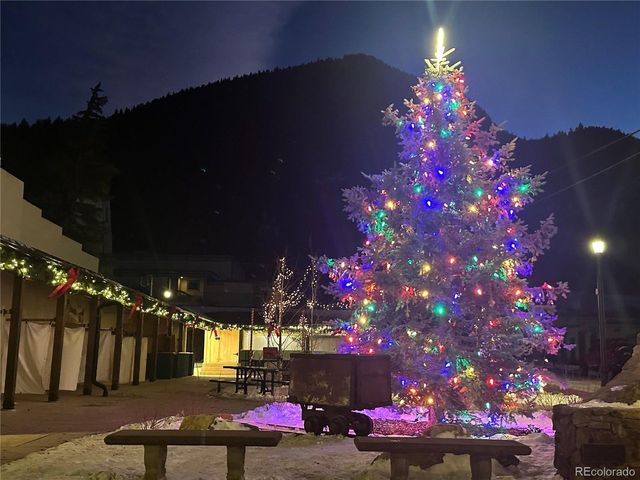 1901 Clear Creek Dr D301, Georgetown, CO 80444