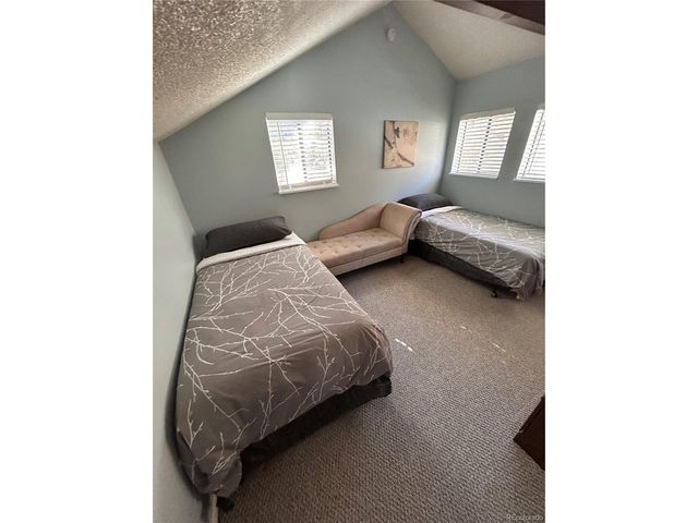 1901 Clear Creek Dr D301, Georgetown, CO 80444