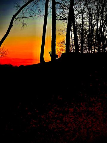 1555 Heller Rdg, Spring Hill, TN 37174