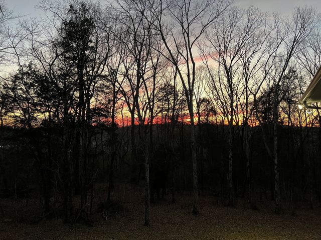 1555 Heller Rdg, Spring Hill, TN 37174