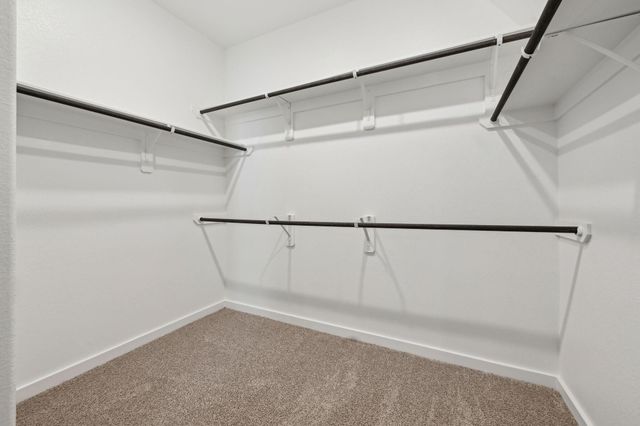 1119 Cedar Place Lane, Missouri City, TX 77459