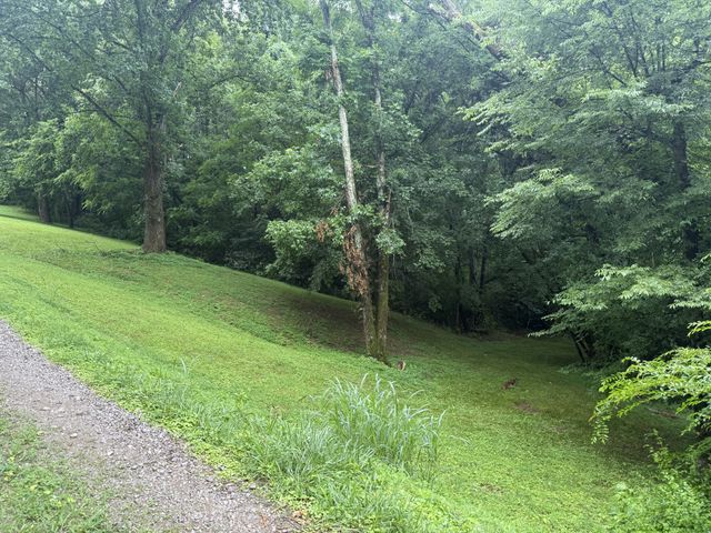 6437 Peytonsville Arno Rd, College Grove, TN 37046