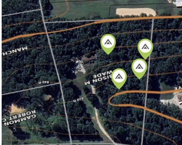6437 Peytonsville Arno Rd, College Grove, TN 37046