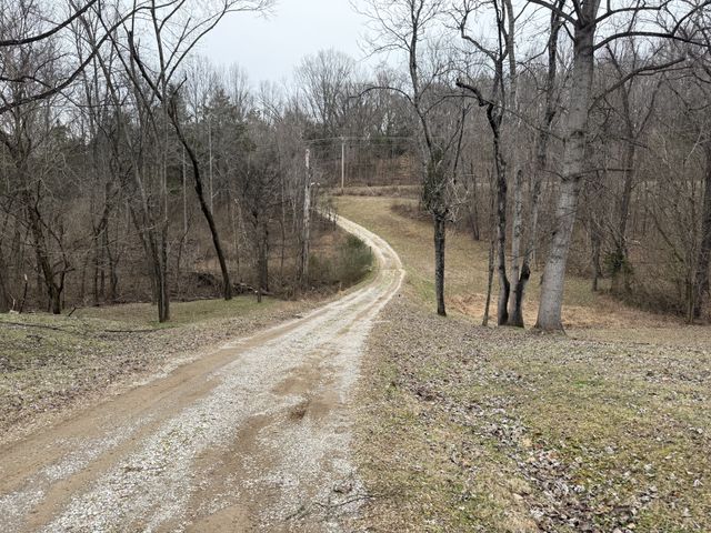 6437 Peytonsville Arno Rd, College Grove, TN 37046