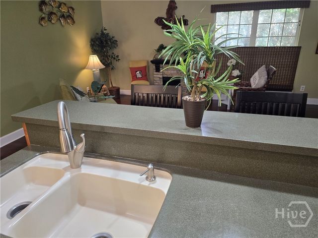 232 Peregrine Circle, Richmond Hill, GA 31324
