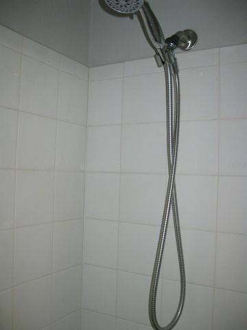 3090 POINTER DRIVE 3090, Palm Harbor, FL 34683