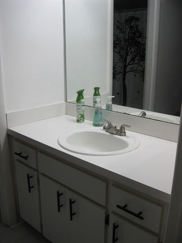 3090 POINTER DRIVE 3090, Palm Harbor, FL 34683