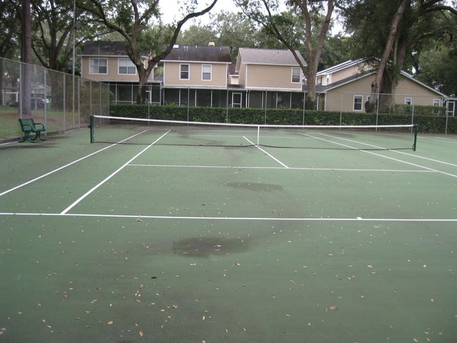 3090 POINTER DRIVE 3090, Palm Harbor, FL 34683