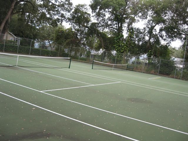 3090 POINTER DRIVE 3090, Palm Harbor, FL 34683