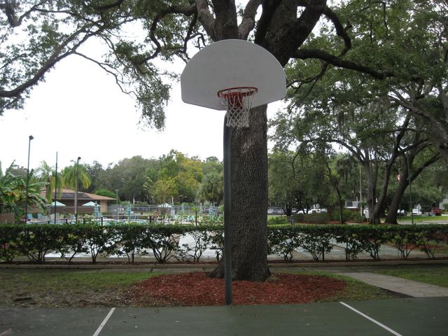 3090 POINTER DRIVE 3090, Palm Harbor, FL 34683