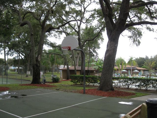 3090 POINTER DRIVE 3090, Palm Harbor, FL 34683