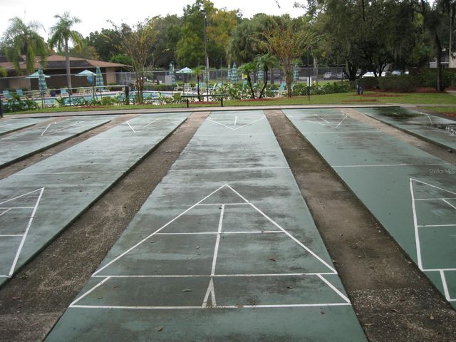 3090 POINTER DRIVE 3090, Palm Harbor, FL 34683