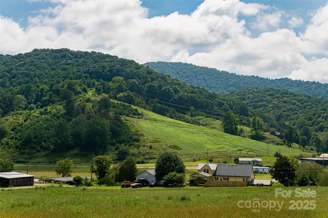 36 Brooks Branch Road, Leicester, NC 28748