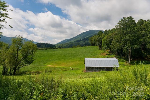 36 Brooks Branch Road, Leicester, NC 28748