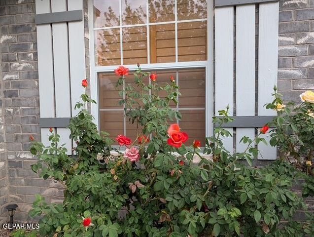 145 LIBBY Road, Canutillo, TX 79835