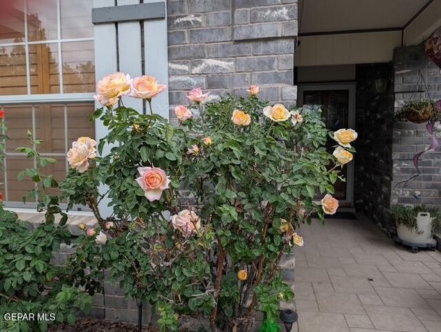 145 LIBBY Road, Canutillo, TX 79835