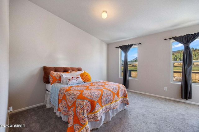 53 COUNTY ROAD 2092 --, Alpine, AZ 85920