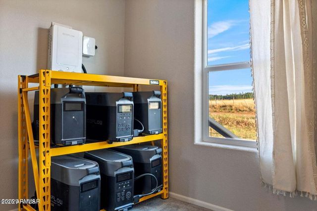 53 COUNTY ROAD 2092 --, Alpine, AZ 85920