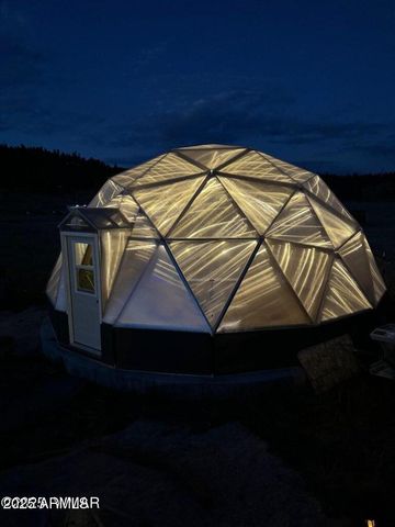 53 COUNTY ROAD 2092 --, Alpine, AZ 85920