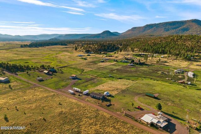 53 COUNTY ROAD 2092 --, Alpine, AZ 85920