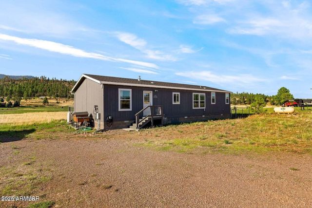 53 COUNTY ROAD 2092 --, Alpine, AZ 85920