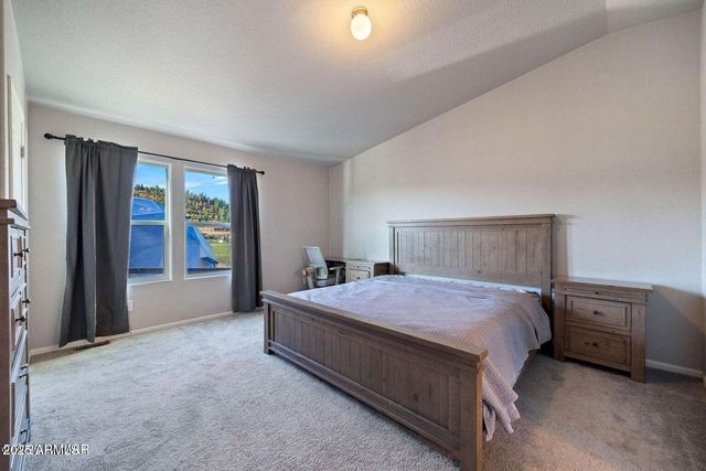 53 COUNTY ROAD 2092 --, Alpine, AZ 85920