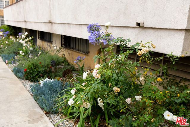 1271 Granville Avenue 401, Los Angeles, CA 90025