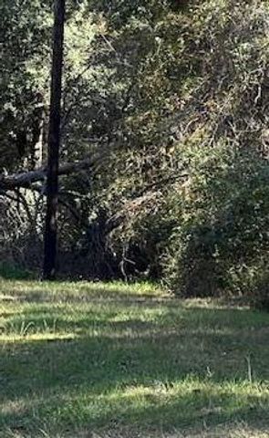 TBD Clark Road, Plantersville, TX 77363