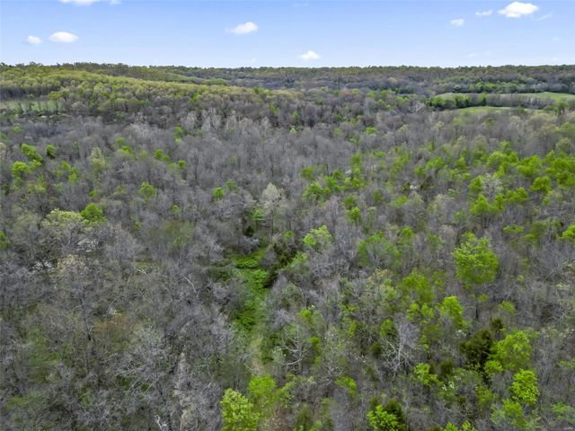 0 Creek Road, Hartville, MO 65667
